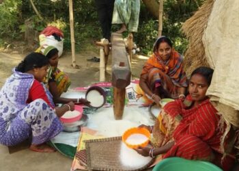 যন্ত্রের ব্যবহার বৃদ্ধির যুগেও পৌষ পার্বণে শস্য গোলায় পিঠে-পুলি তৈরিতে ভরসা ঢেঁকিতেই