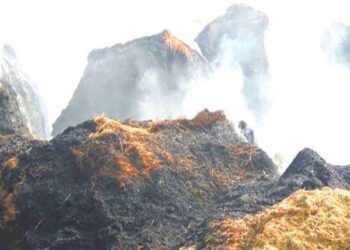 বাংলাদেশের বগুড়ায় একের পর এক হিন্দুদের খড়ের পালুইয়ে আগুন লাগালো জিহাদিরা