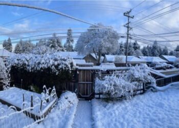 আমেরিকার উত্তর-পশ্চিমাঞ্চলে ভয়াবহ তুষার ঝড়, বিদ্যুৎ বিচ্ছিন্ন ৯ লাখ পরিবার