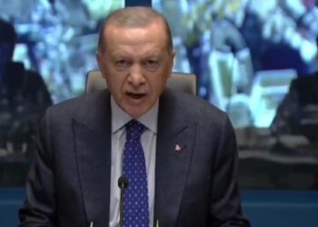 আসন্ন নির্বাচনে  ভরাডুবি হতে পারে তুর্কি প্রেসিডেন্ট রিসেপ তাইয়েপ এরদোয়ানের দলের