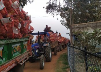 পরীক্ষার মাঝেই মাঠ থেকে আলু উঠতে শুরু করায় হিমঘরের সামনে সড়কপথে যানজটের আশঙ্কা
