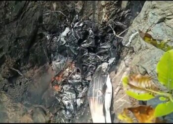 মধ্যপ্রদেশের বালাঘাটে চার্টার প্লেন বিধ্বস্ত হয়ে পাইলটসহ ২ জনের মৃত্যু