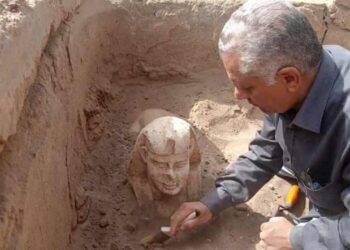 মিশরে আবিষ্কৃত হল “স্মাইলি স্ফিংস” মূর্তি