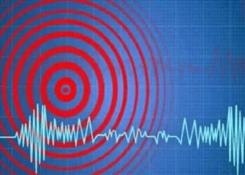 শক্তিশালী ভূমিকম্পে কেঁপে উঠল নিউজিল্যান্ড