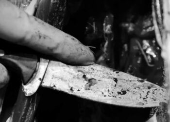 তরুনীর শিরোচ্ছেদের পর দেহ টুকরো টুকরো করে পুঁতে দিয়েছিল শাবির আহমেদ ওয়ানি, উদ্ধার করল পুলিশ