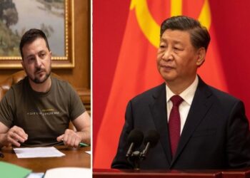 যুদ্ধ অবসানের আবেদন জানাতে জেলেনস্কির সঙ্গে ফোনে কথা বললেন শি জিনপিং