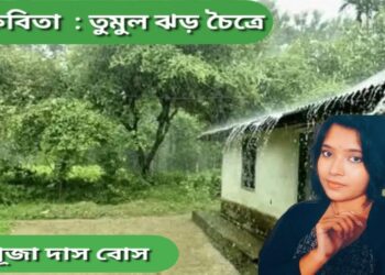 কবিতা  : তুমুল ঝড় চৈত্রে