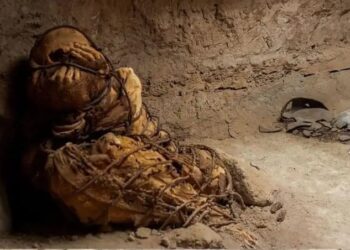 তালু দিয়ে মুখ ঢাকা, বুকের কাছে ভাঁজ করা দু’পা, আষ্টেপৃষ্টে বাঁধা গোটা শরীর- রহস্যময় মমির সন্ধান পেরুতে