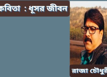 কবিতা  : ধূসর জীবন