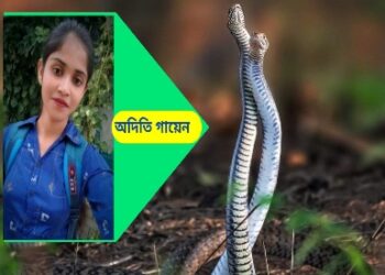 সাপের “শঙ্খলাগা”- এক অন্ধ কুসংস্কার