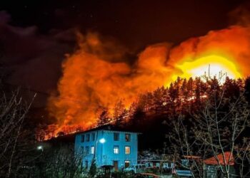 স্পেনে ৯০ স্থানে মানব সৃষ্ট দাবানলে ভস্মীভূত বিস্তীর্ণ অঞ্চলের বনভূমি