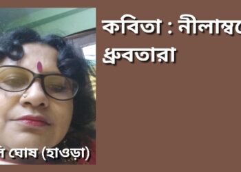 কবিতা : নীলাম্বরের ধ্রুবতারা