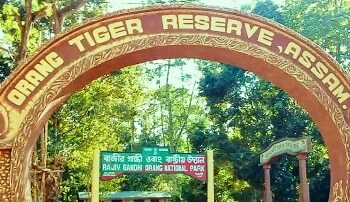 বণ্য পশুদের বাঁচাতে ওরাং জাতীয় উদ্যানে ব্যাপক জবরদখল উচ্ছেদ অভিযান চালাচ্ছে আসাম সরকার