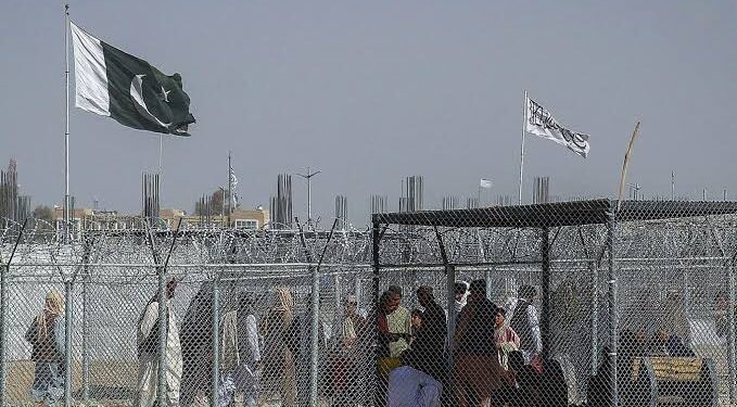 ২৩৬ আফগান শরণার্থীকে তাড়িয়ে দিল পাকিস্তান