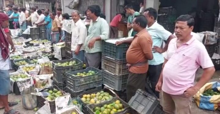 জামাইষষ্ঠীতে আমের চাহিদায় ভাটা, কপালে হাত পূর্বস্থলীর আম চাষি ও ব্যবসায়ীদের