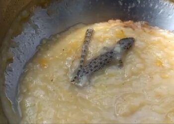 অঙ্গনওয়াড়ী কেন্দ্রের খিচুড়িতে টিকটিকি, কড়া শাস্তির মুখে দুই কর্মী