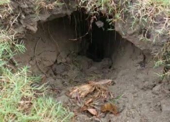 একের পর এক ভূমিধ্বসে আতঙ্কে পূর্বস্থলীর জয়কৃষ্ণপুর গ্রামের বাসিন্দারা