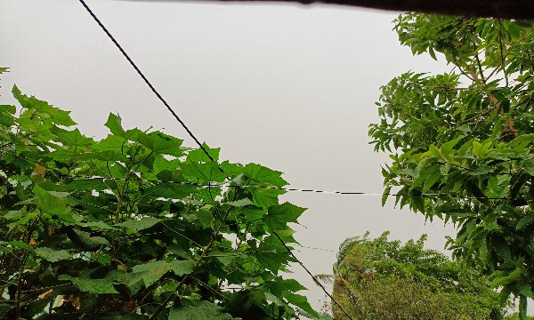 বৃষ্টির দেখা নেই, মুহুর্মুহু বজ্রপাতে ব্যাপক আতঙ্ক পূর্ব বর্ধমান জেলার ভাতারে