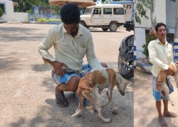 পোষ্য কুকুর শাবককে হাঁসুয়ার কোপ প্রতিবেশীর, থানায় অভিযোগ দায়ের করলেন কুকুরের মালিক