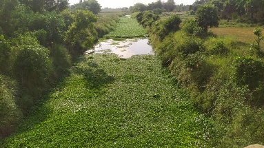 কুনুর যেন এক দুঃখের নদী ! কতদিন অবহেলায় থাকবে এই নদী ?