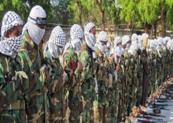 আল-শাবাবের দুই সিনিয়র কমান্ডার সহ ৪৩ জন জঙ্গিকে খতম করেছে সোমালিয়া সেনা