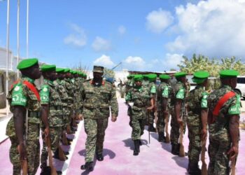 সোমালিয়ায় সেনা অভিযানে খতম আল-শাবাব গ্রুপের ১৯ সন্ত্রাসবাদী