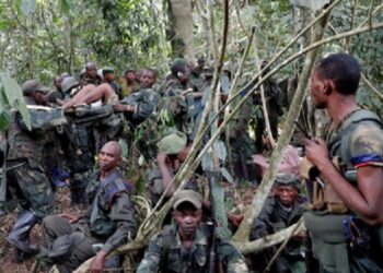 পূর্ব কঙ্গোতে সন্ত্রাসবাদী হামলায় ৯ জন নিরীহ গ্রামবাসীর মৃত্যু