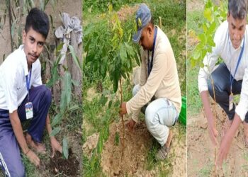 চারাগাছ লাগিয়ে পরিবেশ দিবস পালন করল গুসকরার ক্লাব