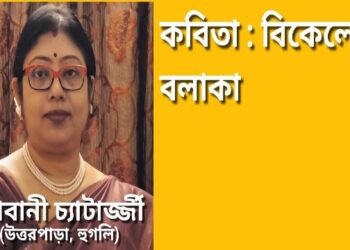 কবিতা : বিকেলের বলাকা