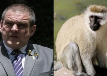 আফ্রিকানদের সাথে বানরের তুলনা করায় কেনিয়া থেকে রাষ্ট্রদূতকে প্রত্যাহার করল রোমানিয়া