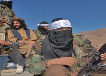 ইসলামাবাদের সঙ্গে আলোচনার প্রস্তাব প্রত্যাখ্যান করেছে তেহরিক- ই-তালিবান