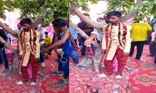 মালাবদলের মুহুর্তে অতিরিক্ত যৌতুক দাবি, বরকে গাছের সঙ্গে বেঁধে রাখলো কনের পরিবার