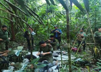 অ্যামাজন জঙ্গলে বিমান বিধ্বস্ত হওয়ার পাঁচ সপ্তাহেরও বেশি সময় পর ৪ শিশু জীবিত উদ্ধার