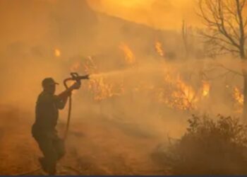কাজাখস্তানে দাবানলে অন্তত ১৪ জনের প্রাণহানি