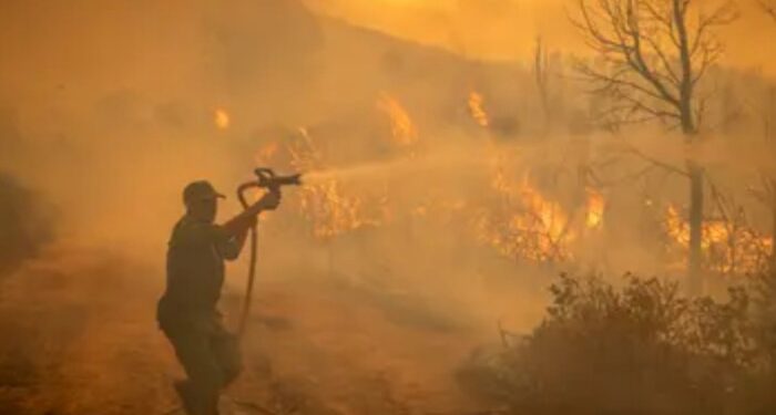 কাজাখস্তানে দাবানলে অন্তত ১৪ জনের প্রাণহানি