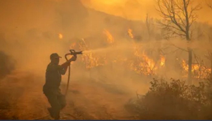 কাজাখস্তানে দাবানলে অন্তত ১৪ জনের প্রাণহানি