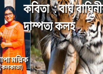 কবিতা : বাঘ বাঘিনীর দাম্পত্য কলহ