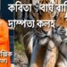 কবিতা : বাঘ বাঘিনীর দাম্পত্য কলহ