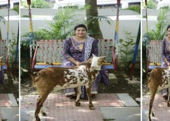 অবলা পশু হত্যার বন্ধের আহ্বান জানানো সাংবাদিককে কদর্য ভাষায় আক্রমন করল নিজেকে সাংবাদিক দাবি করা এক মুসলিম তরুনী