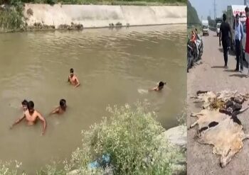 গরু জবাই করে অবশেষ ক্যানেলে ফেলার অভিযোগ , শহর জুড়ে পানীয় জল সরবরাহ হয় ক্যানেল থেকে, উত্তেজনা দিল্লিতে