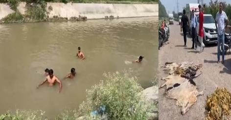 গরু জবাই করে অবশেষ ক্যানেলে ফেলার অভিযোগ , শহর জুড়ে পানীয় জল সরবরাহ হয় ক্যানেল থেকে, উত্তেজনা দিল্লিতে