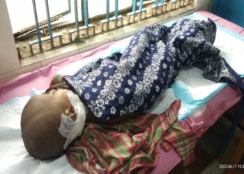 স্ত্রীকে মারতে গিয়ে ছেলের গলায় হাঁসুয়ার কোপ বসালো বাবা, বেঘোরে প্রাণ গেল ৩ বছরের ছোট্ট শিশুর