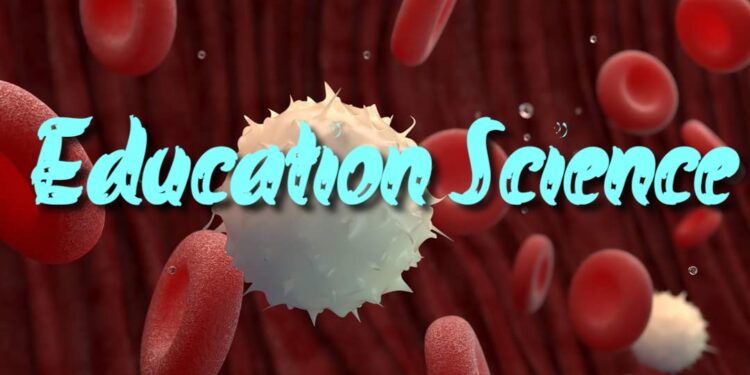 উচ্চমাধ্যমিক-২০২৪ : পরীক্ষার্থীদের জন্য শিক্ষাবিজ্ঞানের একটি গুরুত্বপূর্ণ প্রশ্ন ও উত্তর