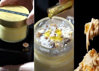 বিশ্বের সবচেয়ে দামি আইসক্রিম, যার দাম শুনলে ভিরমি খাবেন