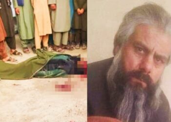 এনআরএফ সদস্যদের গুলিতে নিহত তালিবানের বর্ষীয়ান কমান্ডার