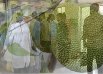 মসজিদের দানের কাঁঠাল নিলাম নিয়ে বিরোধের জেরে সংঘর্ষে মৃত ৩, আহত ৩০