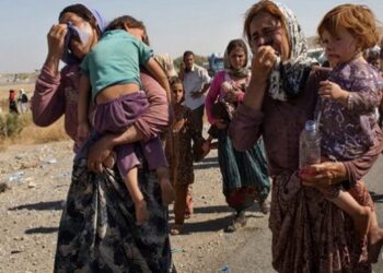 মানবতাবিরোধী অপরাধের জন্য ১২ ইসলামিক স্টেট মহিলা সন্ত্রাসীর বিচারের পদক্ষেপ নিয়েছে নেদারল্যান্ডস