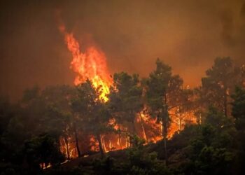 গ্রিসে ভয়াবহ দাবানলে ৩০ হাজারের বেশি পরিবার গৃহহীন