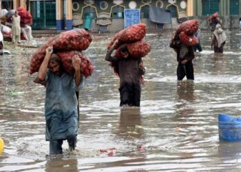 পাকিস্তানে গ্রীষ্মকালীন বর্ষায় এক মাসে ৮ শিশুসহ অন্তত ৫০ জনের মৃত্যু