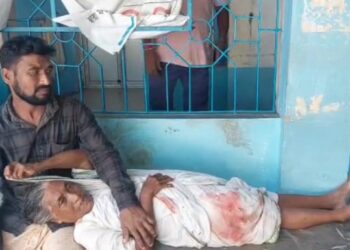 পূর্বস্থলীতে পাগলা কুকুরের কামড়ে জখম বৃদ্ধাসহ ৬, আতঙ্ক এলাকায়